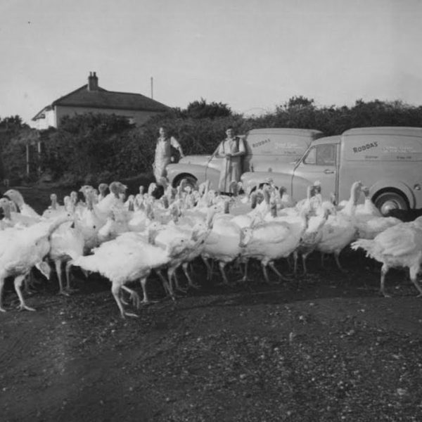 Archive-Morris-Minors-&-Workers-v1